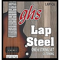 Amazon | SX エスエックス SX ラップ スチールギター 6弦