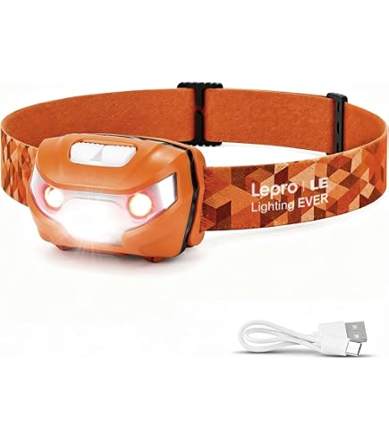 Amazon.co.jp: Petzl(ペツル) スイフト RL 1100ルーメン E095BB