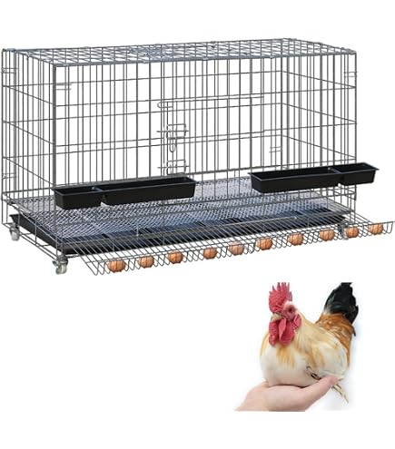 Amazon | 鶏用ケージ 大型 鶏かご 鶏小屋 家庭用 飼育ケージ 家禽用