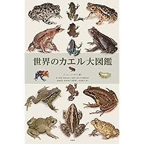 71vCqInaTmL._AC_UL210_SR210,