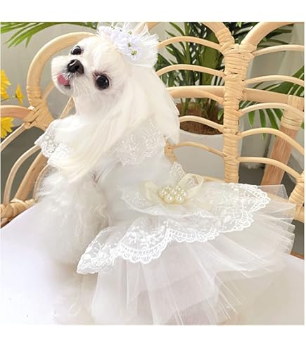 Amazon.co.jp: 犬 ウエディングドレス 手作り犬服 華やかペットの