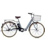 Amazon | 21Technology 自転車 電動アシスト自転車 DA243