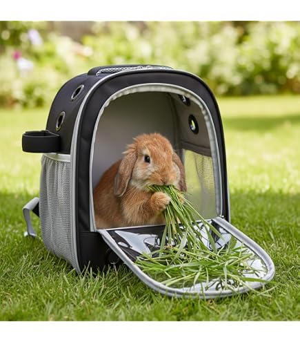 Amazon | □うさぎ はじめての飼育セット スターターセット（82×56
