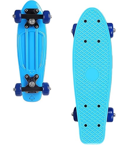 Amazon | Shark Wheel クルーザー スケートボード (サンセット