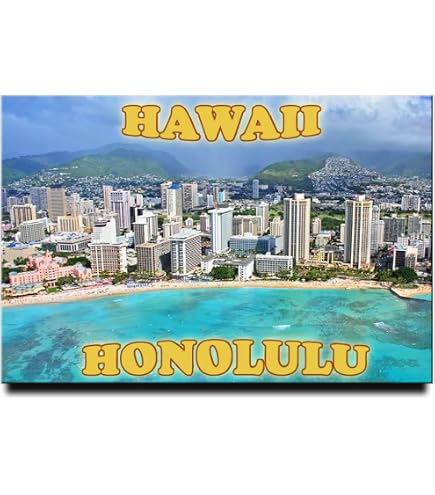 Hawaii The Aloha State Fridge Magnet