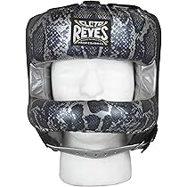 71vKvDqGXlL._AC_UL210_SR210,