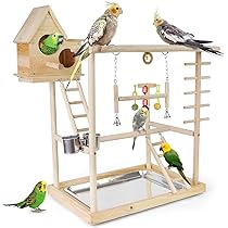 インコ　カラフル　オブジェ　書斎　キャビネット　極彩色　スタンド1 インコ カラフル オブジェ 書斎 キャビネット 極彩色 スタンド1