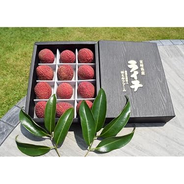 Amazon.co.jp 売れ筋ランキング: ライチ の中で最も人気のある商品です
