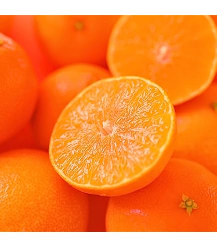 kerure まどんな8kg×2箱ぐるりん kerure様専用 まどんな8kg×2箱