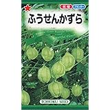 株式会社トーホク フウセンカズラ 00790