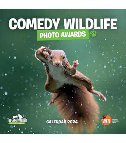 Funky Animal Hairdos And A Smoking Duck Among 2025 Comedy Wildlife Photo Awards Finalists - News - View #9