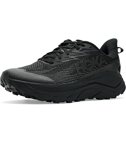 Amazon | Hoka メンズ Challenger 7 Gore-tex®, アロエベラ/レタス
