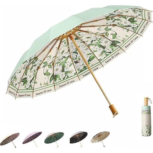 ジブリ美術館 限定 フレスコ 傘 新品未使用 Amazon | ジブリ美術館限定 フレスコ画 傘[となりのトトロ] | 長傘 通販