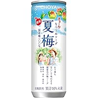 Amazon.co.jp: チョーヤ 夏梅 500g×24本 : 食品・飲料・お酒