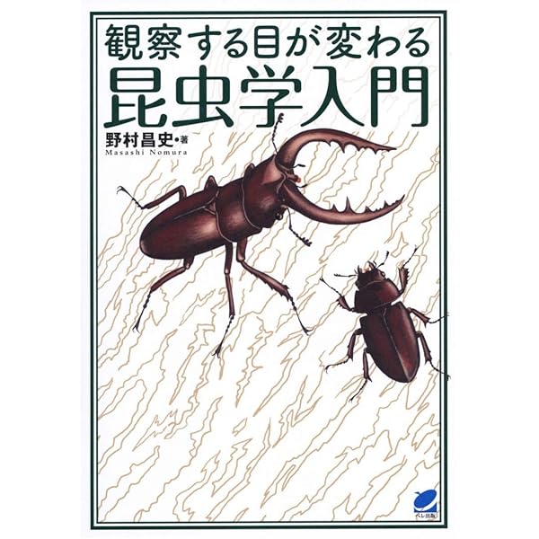 絵でわかる昆虫の世界 進化と生態 (絵でわかるシリーズ) | 藤崎