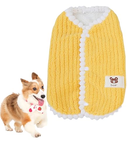 Amazon | ZhengYue ペット服 犬服 Tシャツ 秋冬服 可愛い