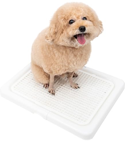 Amazon | HAKOPE 【圧迫感のないクリアサークル】 ペットサークル 犬