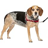PetSafe イージーウォークハーネス (SM, レッド＆ブラック)