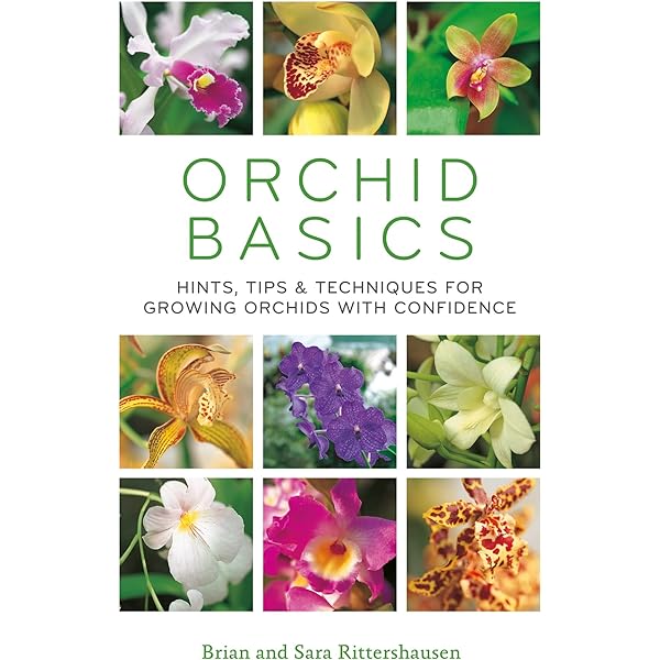 Amazon | The Illustrated Encyclopedia of Orchids | Pridgeon, Alec