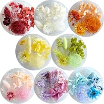Amazon | ハーバリウム 花材セット 8色入り 花材の詰め合わせ 中身が
