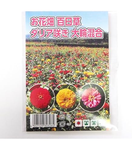 Amazon.co.jp: 朝顔の種 50粒 花 あさがお たね : DIY・工具・ガーデン