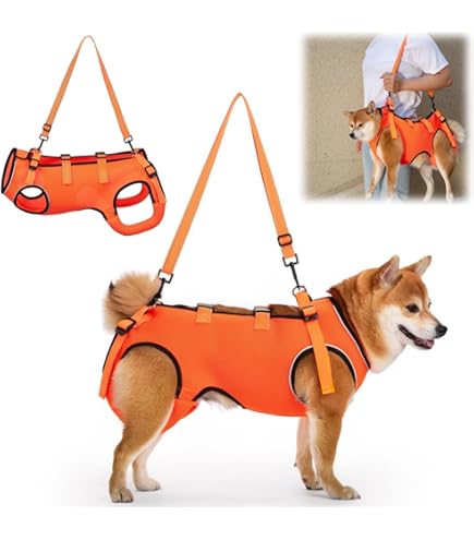 With(ウィズ) 歩行補助ハーネス LaLaWalkコーギー Kabuki Amazon | With(ウィズ) 歩行補助ハーネス LaLaWalk 中型犬