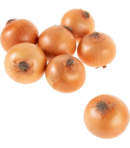 Amazon.co.jp: フランスの野菜通年 エシャロットフランス産約1Kg