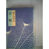 青鞜 (中公文庫) | 瀬戸内 晴美 |本 | 通販 | Amazon