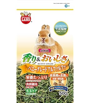 Amazon | 三晃商会 SANKO イージーホーム ホワイト 60 | Sanko