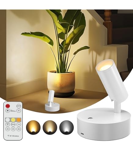 Amazon.co.jp : Herimo LEDスポットライト ブラケットライト Tpye-C