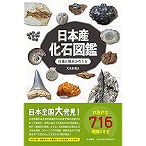 Amazon.co.jp: 産地別日本の化石750選: 本でみる化石博物館