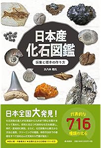 帰ってきた! 日本全国化石採集の旅―化石が僕をはなさない | 大八木和久