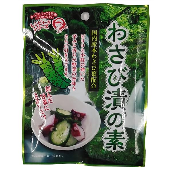 Amazon.co.jp: Nitto Foods Industry Wasabi Pickles, 0.4 oz (10 g) x