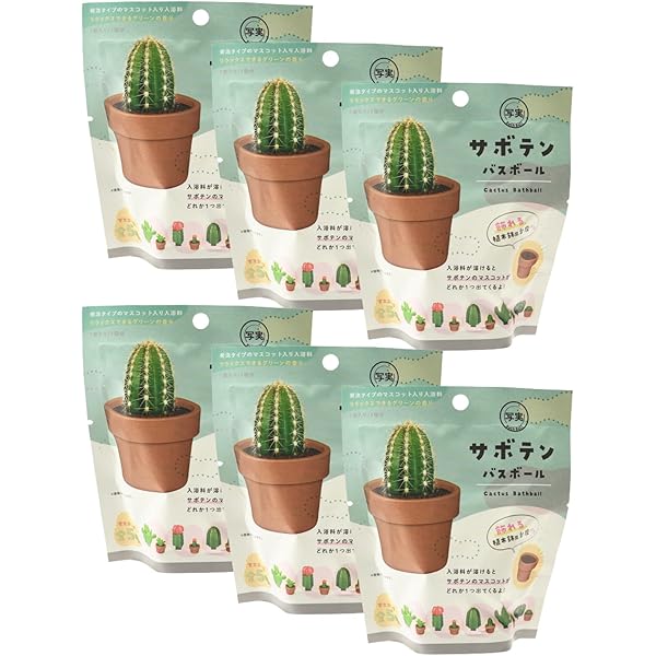 Amazon | 【6個セット+泡立てネット付き】ノルコーポレーション