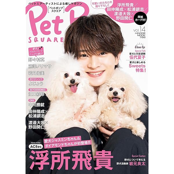 Amazon.co.jp: 真夏の少年~19452020 Blu-ray BOX : 岩﨑大昇, 佐藤龍我