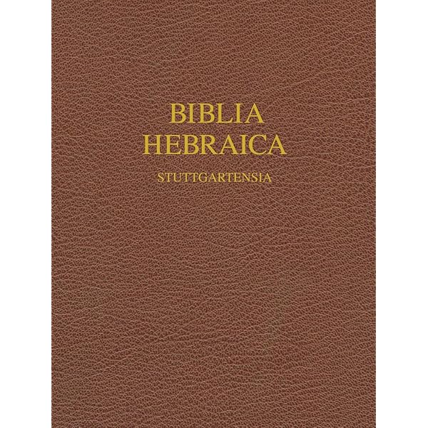 Amazon | Practical Grammar for Classical Hebrew | Weingreen