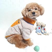 オーダーストップ＊ハンドメイド犬服＊デイジーボア オーダーストップ＊ハンドメイド犬服＊デイジーボア