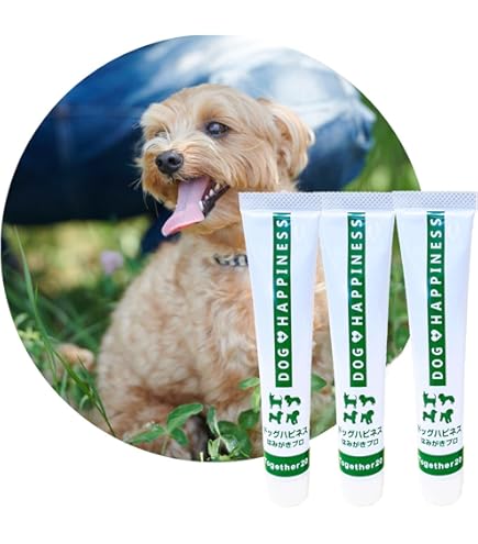 Amazon.co.jp: ドッグハピネスはみがきプロ 犬 歯磨き 歯磨き粉 歯磨き