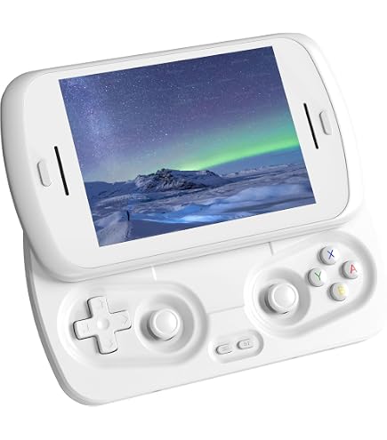 Amazon.co.jp: Anbernic RG Slide ケース 保護カバー 収納バッグ 