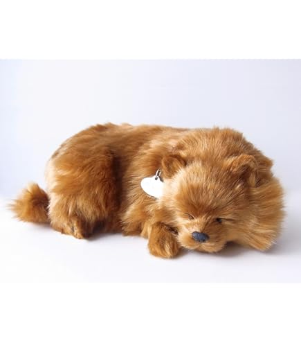 Amazon.co.jp: ニニアンドキノ パーフェクトペット (小サイズ