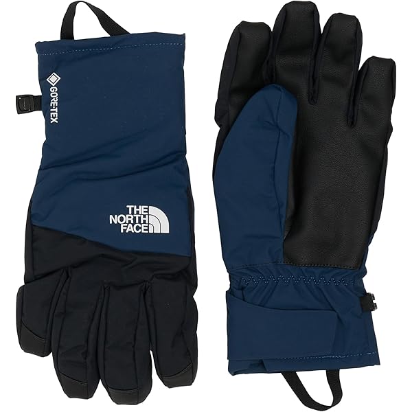 Amazon | THE NORTH FACE(ザノースフェイス) 手袋 Earthly Glove