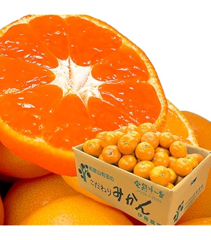 Amazon.co.jp: 愛媛西宇和 真穴みかん S/Mサイズ 約10kg お歳暮贈答用