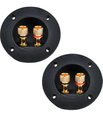 Amazon | ビクター 日本 コンパクトスピーカー PS-S224B | JVC