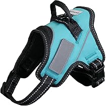 Amazon | 【犬を逃がさないリード】 犬 リード 丈夫 小型犬 中型犬