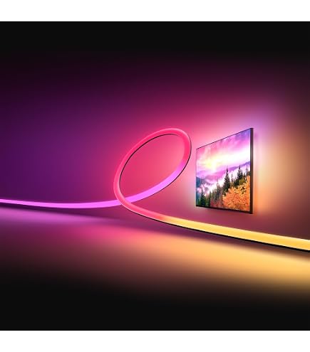 Amazon.co.jp: Philips Hue Flux 屋外 16フィート マルチカラー LED