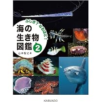 本物の真珠が入った記念 2005年 海洋生物保護シリーズ 71wEg9kzr1L._AC_UL210_SR210,