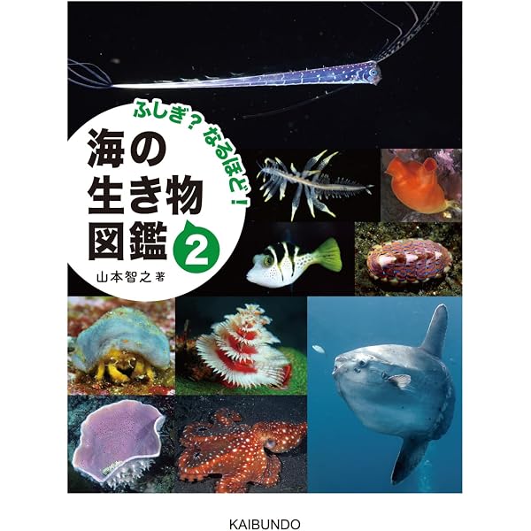 Amazon.co.jp: ふしぎ?なるほど! 海の生き物図鑑 : 山本智之: Japanese
