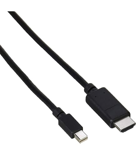 Amazon.co.jp: PLANEX Mini Displayport -]DVI端子変換アダプタ