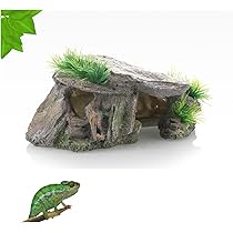 GLASS TERRARIUM ヒョウモントカゲモドキ・リクガメ用　爬虫類ゲージ Amazon.co.jp: GEX EXOTERRA レプテリア レオパ飼育キットM