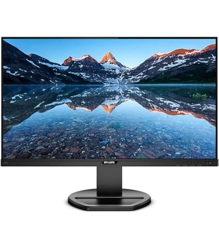 Amazon.co.jp: 5年間フル保証ディスプレイ 273B9/11 [27型ワイド液晶 